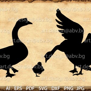 Vector GEESE, AI, eps, pdf, png, svg, dxf, jpg Image Graphic Digital Download Artwork, graphical, discount coupons