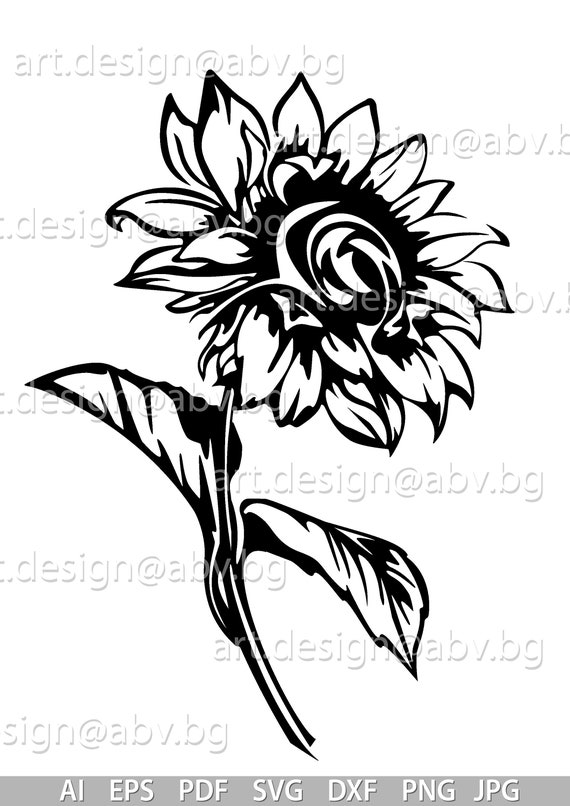 Vector Art File Sunflower Vector File
