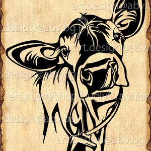 Vector COW with bell, calf, head, AI, png, eps, pdf, svg, dxf, jpg Instant Download, graphical image Art Print, tongue, Digital image