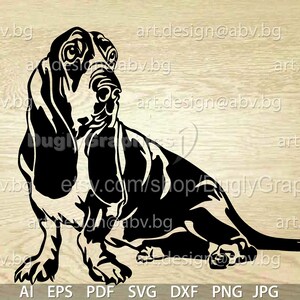 Vector DOG BASSET HOUND, ai, eps, pdf, svg, dxf, png, jpg Download, Digital image, graphical, animal, discount coupons