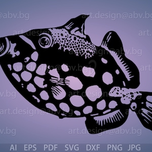 May include: Black and white silhouette of a spotted pufferfish with a rounded body and a large, fan-shaped tail fin.