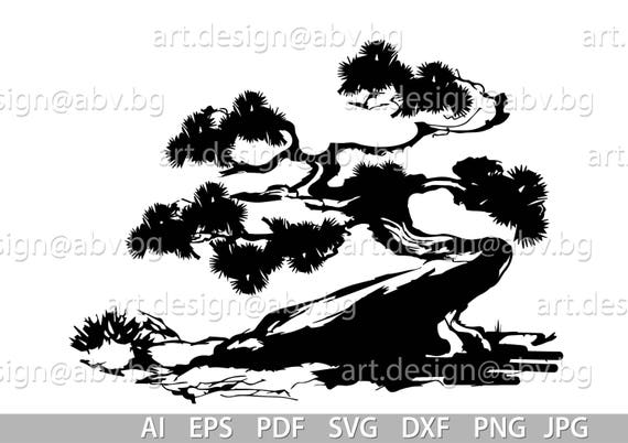 Conifer Bonsai Vector Art: Evergreen Tree (digital Download) - Etsy