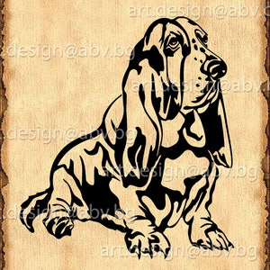 Vector DOG BASSET HOUND, ai, eps, pdf, svg, dxf, png, jpg Download, Digital image, graphical, animal, discount coupons