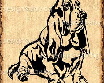 Basset Hound Vector Art (Digital Download)