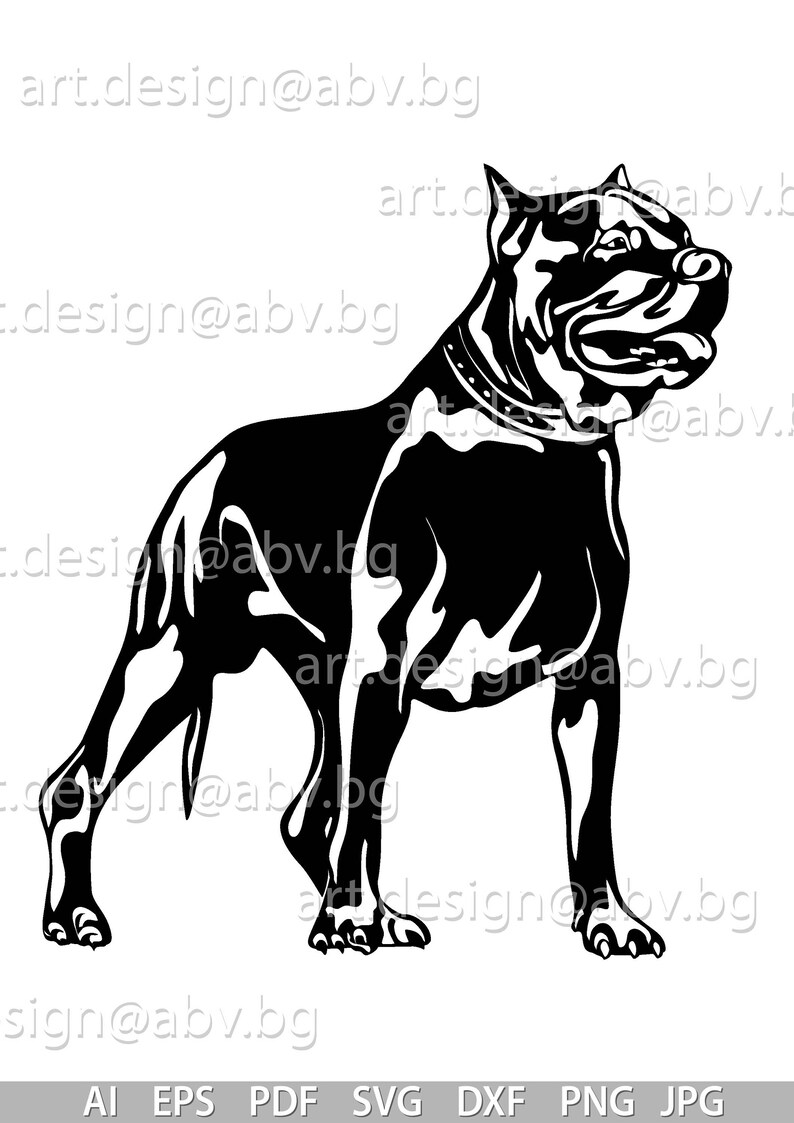 Pit Lab Dogs Vector Vector DOG PITBULL, Ai, Eps, Pdf, Svg, Dxf, Png, Jpg Download, Digital ...