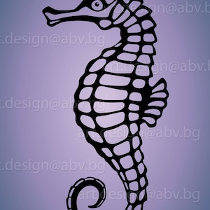 Vector SEAHORSE, AI, eps, pdf, PNG, svg, dxf, jpg Image Graphic Digital Download Artwork, graphical, discount coupons