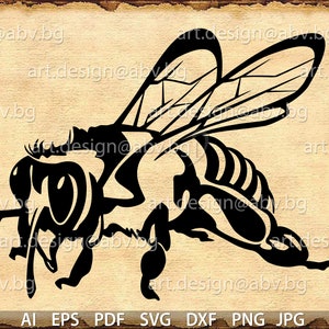 Vector BEE, ai, eps, pdf, SVG, DXF, png, jpg Download, Digital image, graphical, discount coupons