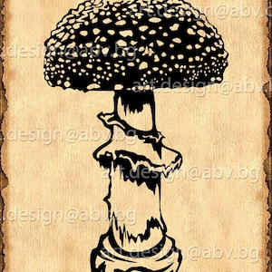 May include: Black and white illustration of a mushroom with a spotted cap and a textured stem. The mushroom is drawn on a vintage-looking background.
