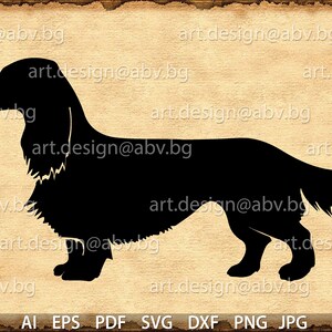 Vector DOG, Long Haired Daschund, ai, eps, pdf, svg, dxf, png, jpg Download, discount coupons