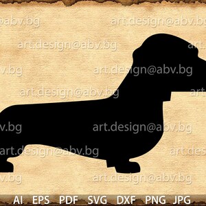Vector DOG, ai, PNG, eps, pdf, svg, dxf, jpg Daschund, Download, discount coupons