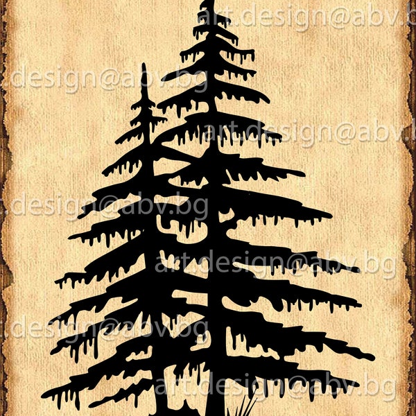 Vector  CONIFERS, evergreen, AI, eps, pdf, PNG, svg, dxf, jpg  Image Graphic Digital Download Artwork, graphical, discount coupons