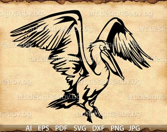 Vector PELICAN, AI, PNG, pdf, eps, svg, dxf, jpg Download, Digital image, graphical, bird, discount coupons