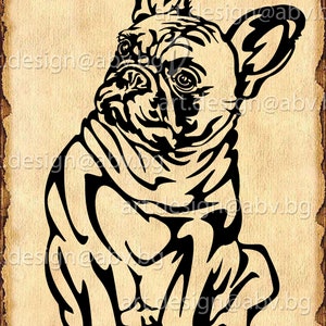 Vector FRENCH BULLDOG, svg, AI, png, pdf, eps, dxf, jpg Download, Digital image, graphical, animal, svg dog, discount coupons