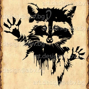 Vector RACCOON, ai, eps, pdf, SVG, DXF, png, jpg Download, Digital image, graphical image, discount coupons