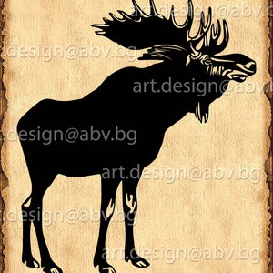 Vector MOOSE, AI, eps, pdf, svg, dxf, png, jpg Download files, Digital, graphical, discount coupons