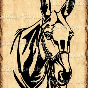 Vector HORSE, SVG, DXF, ai, eps, pdf, png, jpg Download, Digital image, graphical image, discount coupons