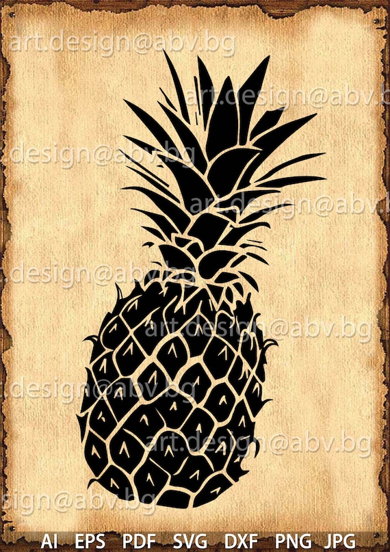 Vector Ananas Fruit Pineapple Ai Eps Pdf Svg Dxf Png Etsy