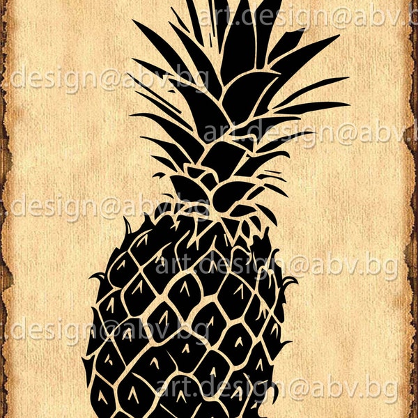 Vector ANANAS, fruit, pineapple, AI, eps, pdf, svg, dxf, png, jpg Download, Digital image, graphical, discount coupons