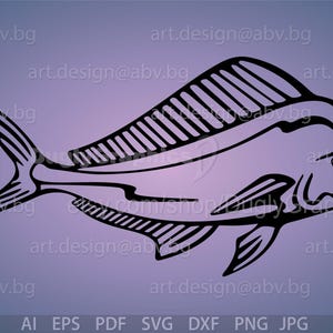 Vector MAHI-MAHI, AI, eps, pdf, png, svg, dxf, jpg Image Graphic Digital Download Artwork, stylized, graphical dolphinfish, ray-finned image 1