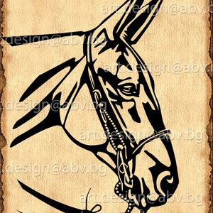 Vector HORSE, SVG, DXF, ai, eps, pdf, png, jpg Download, Digital image, graphical image, discount coupons