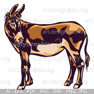 Vector DONKEY looks back colored ai png eps pdf svg dxf jpg Download, Digital image, graphical, farm animal