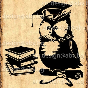 Graduation Owl Vector Art (Digital Download)