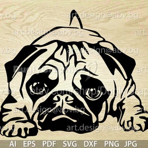 Vector PUG, dog, mops, SVG, AI, png, pdf, eps, dxf, jpg Download, Digital image, graphical, animal