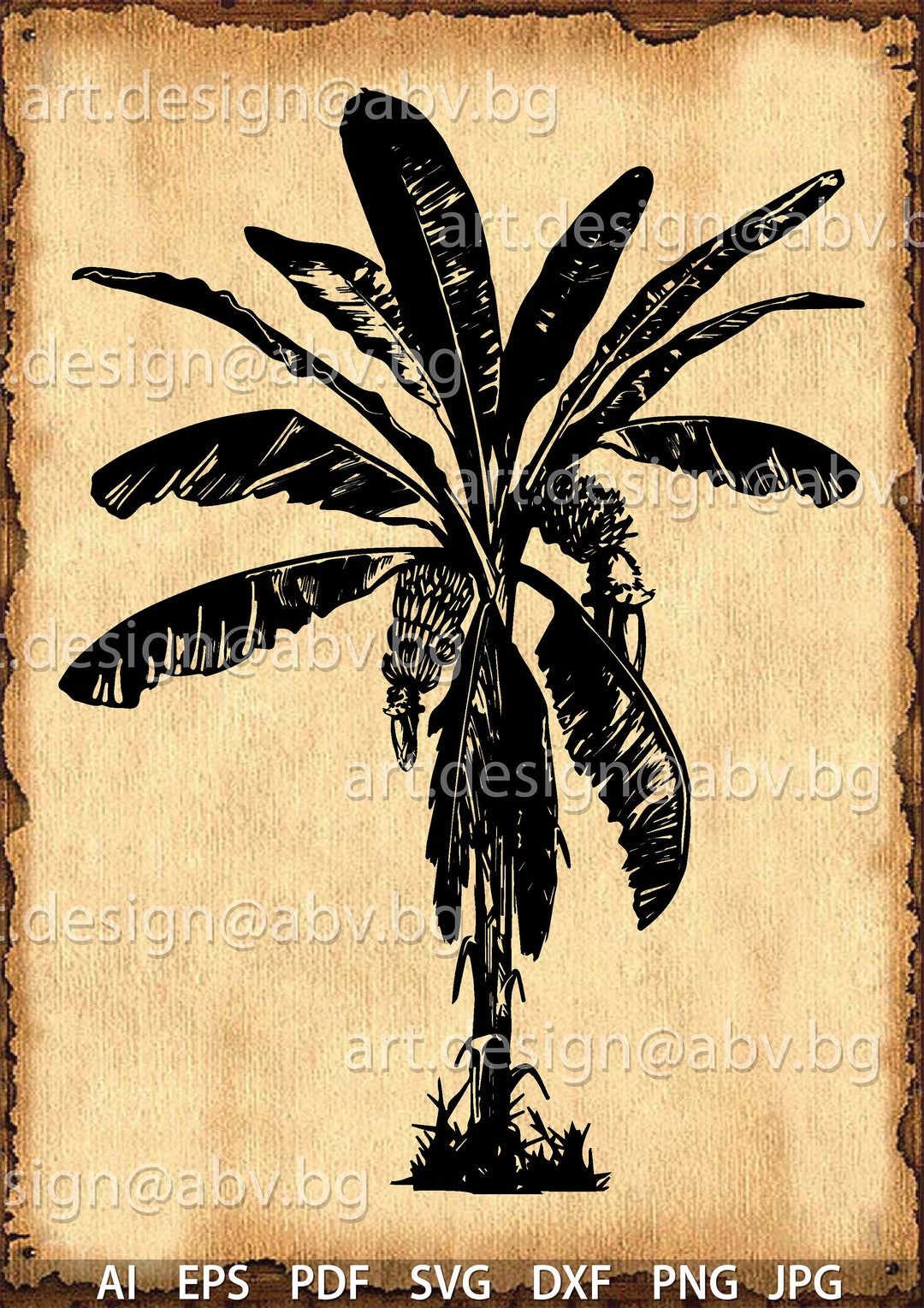 Vector PALM Tree, AI, Eps, Pdf, Svg, Dxf, Png, Jpg Download, Flora