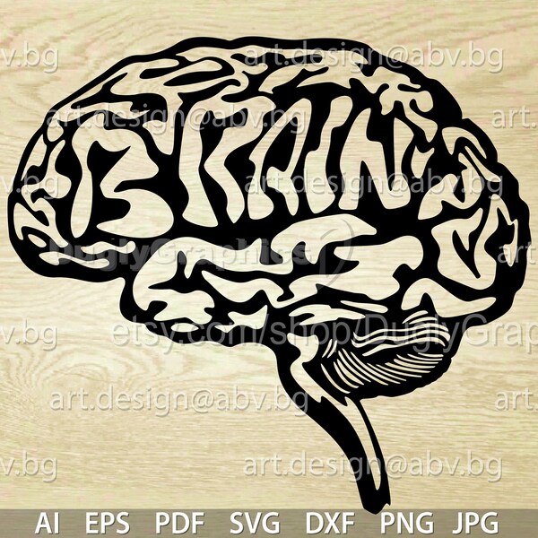 Vector BRAIN text human AI png eps svg dxf pdf jpg Download files Digital graphical discount coupons