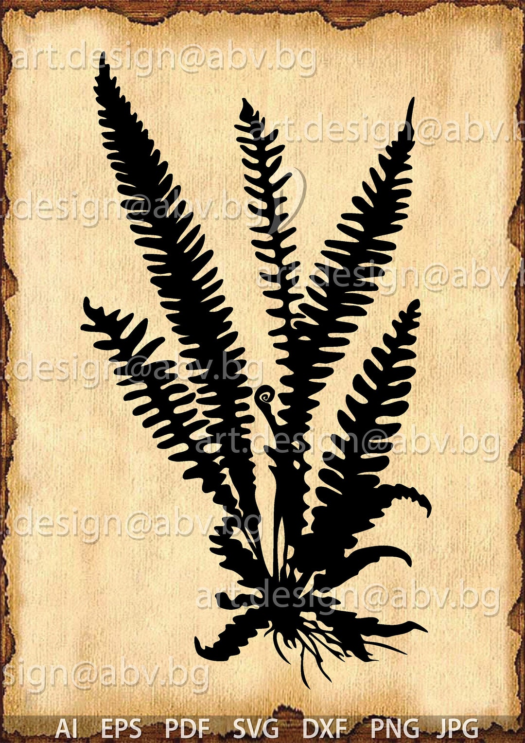 Fern Vector Illustration (ai, Eps, Pdf, Svg, Dxf, Png, Jpg) (digital ...
