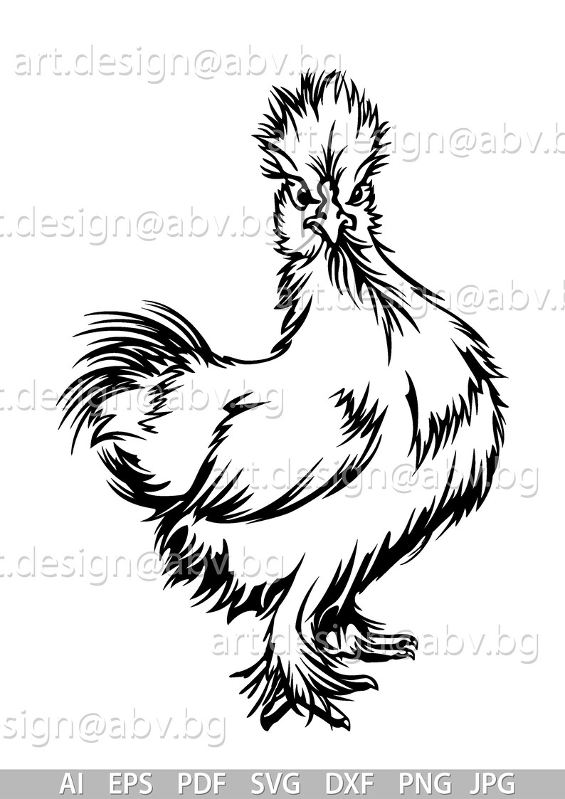 Download Vector SILKIE CHICKEN ai eps pdf svg dxf png jpg | Etsy