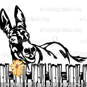 Vector Ezel met zonnebloem achter het hek, AI, PNG, eps, pdf, svg, dxf, jpg, wildhond, dier, digitaal, grafisch, svg donkey