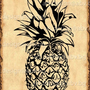 Vector ANANAS, fruit, pineapple, AI, eps, pdf, svg, dxf, png, jpg Download, Digital image, graphical, discount coupons image 1