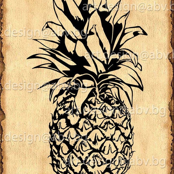 Vector ANANAS, fruit, pineapple, AI, eps, pdf, svg, dxf, png, jpg Download, Digital image, graphical, discount coupons