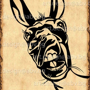 Vector  DONKEY Smile, Download, Digital image, graphical, AI, PNG, eps, pdf, svg, dxf, jpg, dhole, animal, discount coupons