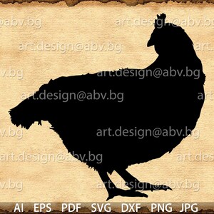 Vector kip, gevogelte, ai, eps, pdf, svg, dxf, png, jpg downloaden, digitaal beeld, grafisch, dier, vogel, kortingsbonnen