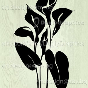 Vector CALLA, flora, AI, png, eps, pdf, svg, dxf, jpg Download files, Digital, graphical, discount coupons