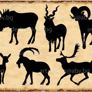 Vector ANIMALS, AI, eps, pdf, SVG, dxf, png, jpg files, graphical image, Instant Download Printable, discount coupons