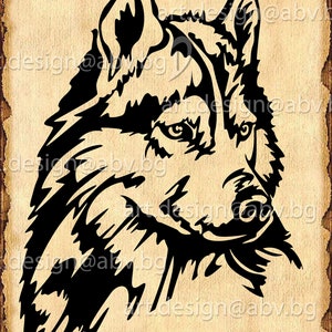 Vettore CANE, husky, SVG, DXF, ai, png, pdf, eps, jpg Download, Immagine digitale, grafica, animale, animale domestico, buoni sconto