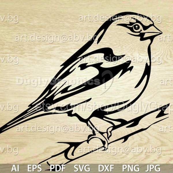 Vector BIRD Purple Finch, sparrow svg ai eps pdf  dxf png jpg Download Digital image