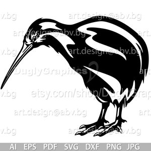 Vector KIWI bird, AI, PNG, eps, pdf, svg, dxf, jpg Download, wingless bird, graphical, animal, Apterygidae Wingless family image 2