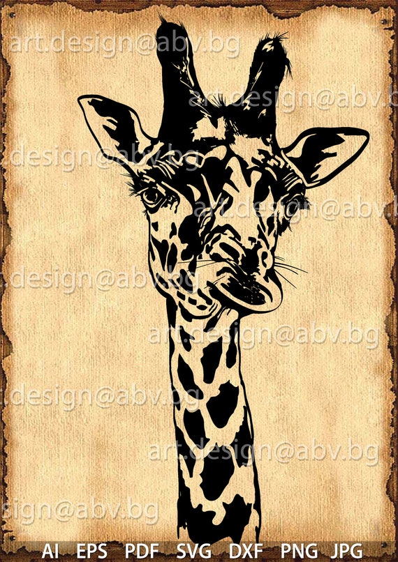 Vector head of GIRAFFE AI PNG eps pdf svg dxf jpg | Etsy