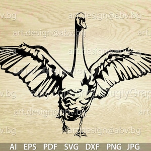 Vector SWAN, AI, PNG, eps, svg, dxf, pdf, jpg Download, Digital image, graphical, animal bird