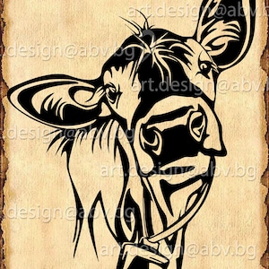 Vector koe met bel, kalf, hoofd, AI, png, eps, pdf, svg, dxf, jpg Instant Download, grafische afbeelding Art Print, Digitale afbeelding