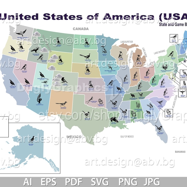 Vector USA map state birds svg ai eps pdf dxf png jpg Download sparrow Digital image discount coupons