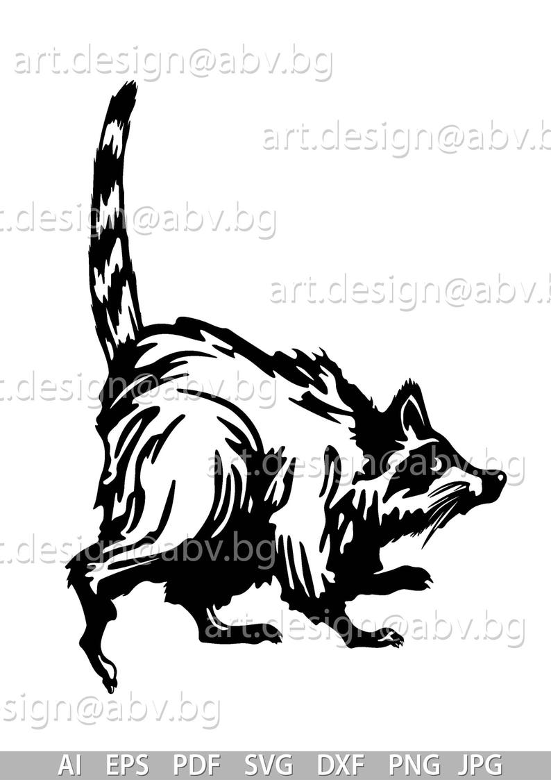 Winner Raccoon Vector Vector RACCOON, AI, Eps, PNG, Pdf, Dxf, Svg, Jpg Download, Digital ...