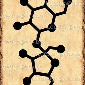 Vector MOLECULE SURCOSE, AI, png, eps, pdf, svg, dxf, jpg Download files, Digital, graphical, discount coupons