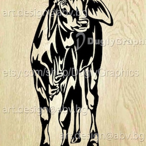 Vector COW, brahman calf, AI, PNG, eps, pdf, svg, dxf, jpg Instant Download, graphical image Art Print, baby cow, Digital image