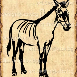 Vector DONKEY, Download, Digital image, graphical, AI, PNG, eps, pdf, svg, dxf, jpg, farm, animal, discount coupons