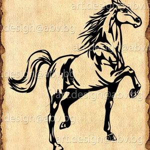 VECTOR HORSE, SVG, dxf, ai, eps, pdf, png, jpg Image Graphic Digital Download Artwork, graphical, discount coupons